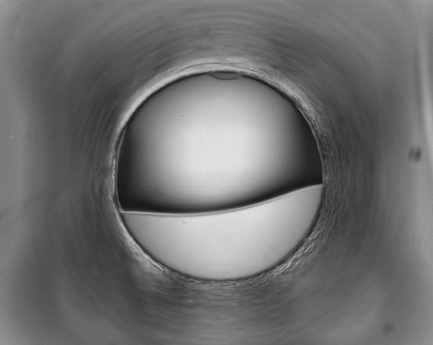 X0000101101524200806261032