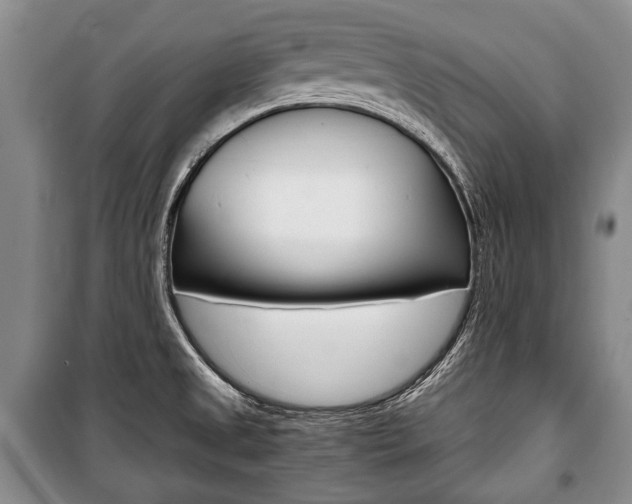 X0000101101525200806261032