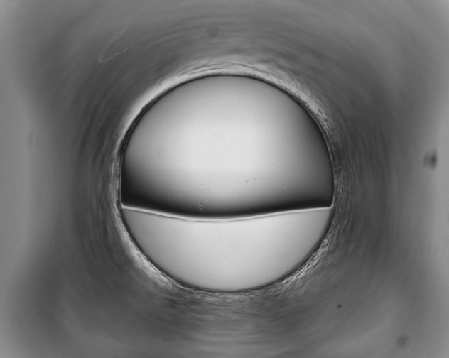 X0000101101526200806261032