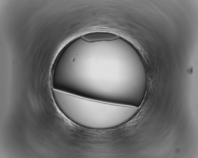 X0000101101527200806261032