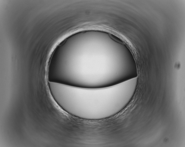 X0000101101528200806261032