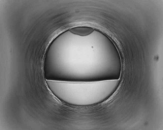 X0000101101529200806261032