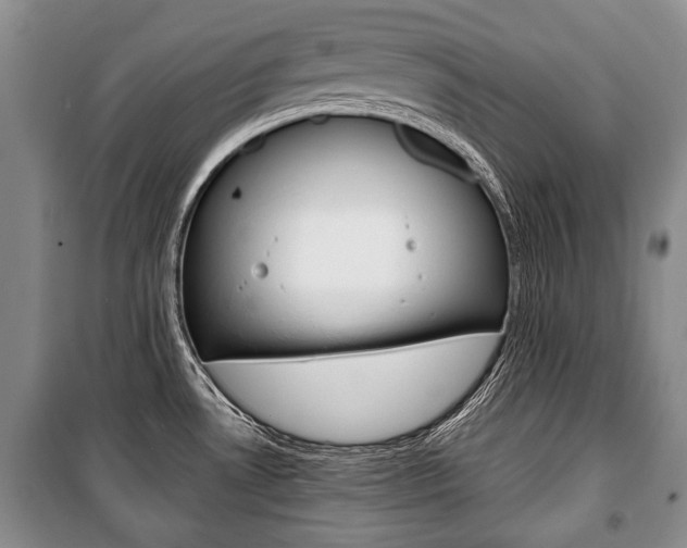 X0000101101530200806261032