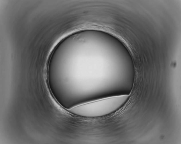 X0000101101531200806261032