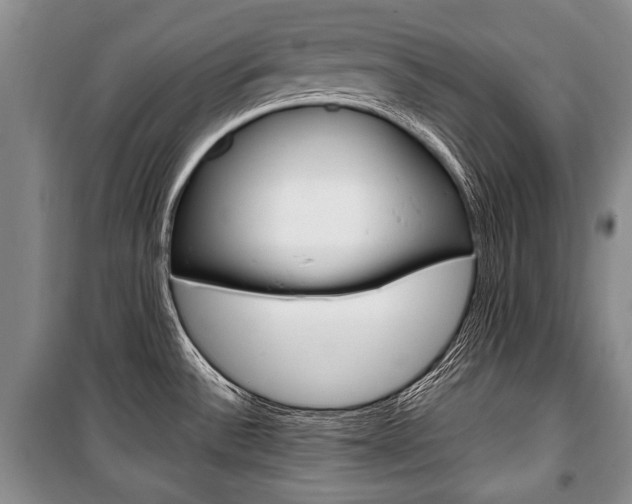 X0000101101532200806261032