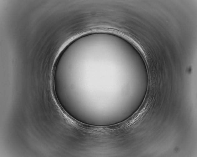 X0000101101533200806261032