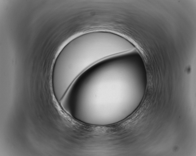 X0000101101534200806261032