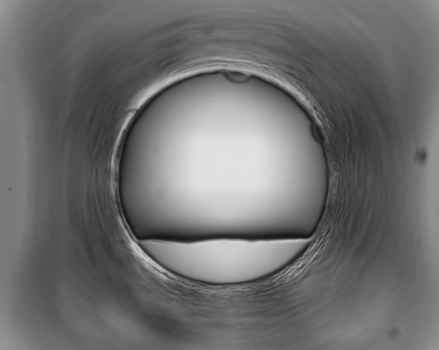 X0000101101535200806261032