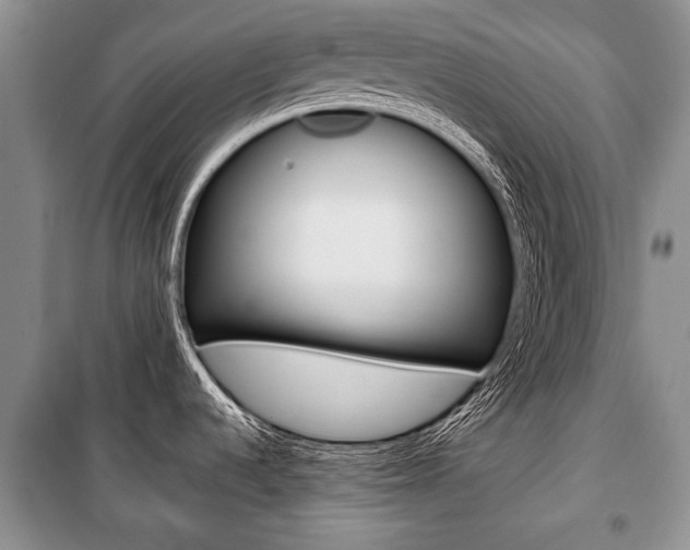 X0000101101536200806261032