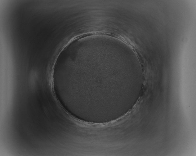 X0000101100002200806261522