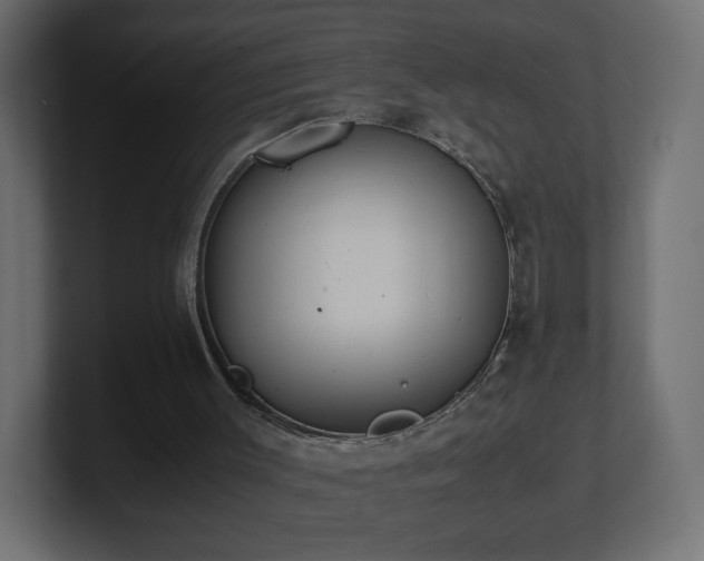 X0000101100003200806261522