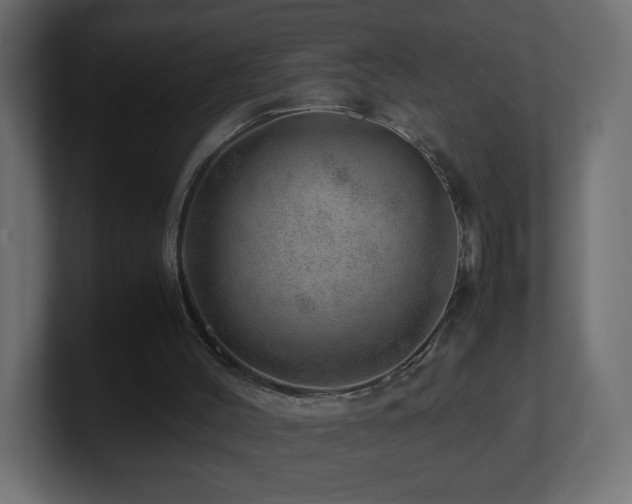 X0000101100004200806261522