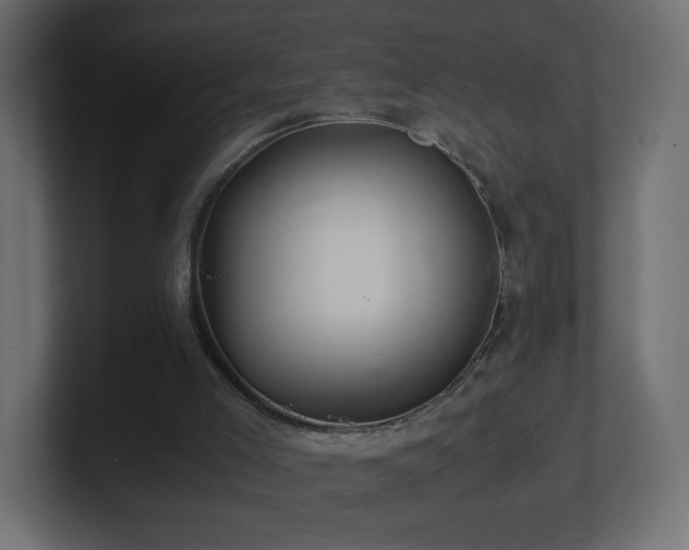 X0000101100005200806261522