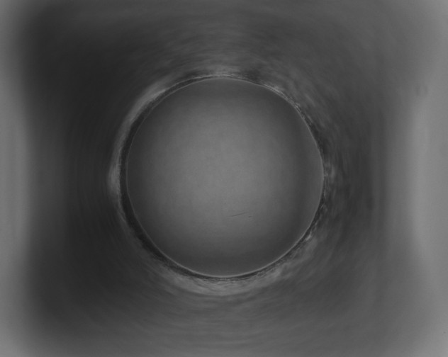 X0000101100006200806261522