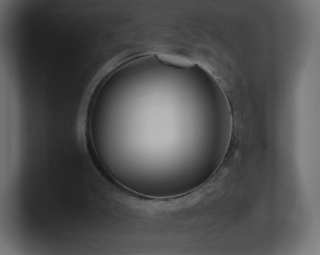 X0000101100007200806261522