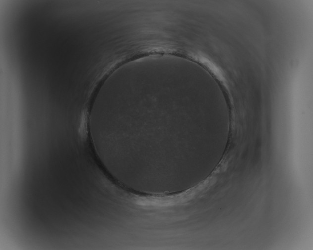 X0000101100009200806261522