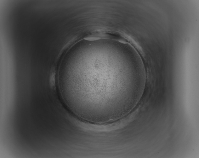 X0000101100010200806261522