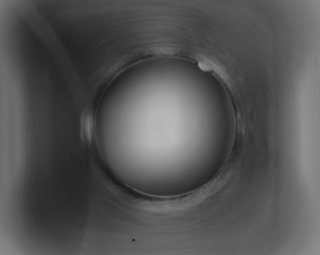 X0000101100013200806261522