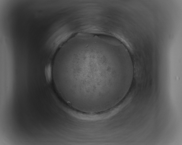 X0000101100014200806261522