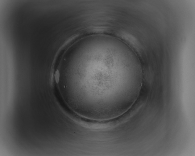 X0000101100016200806261522