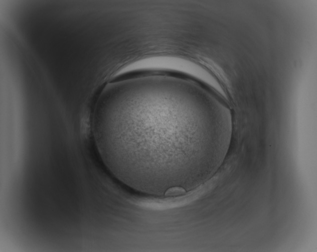 X0000101100017200806261522