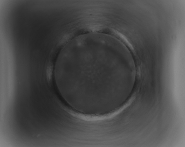 X0000101100018200806261522