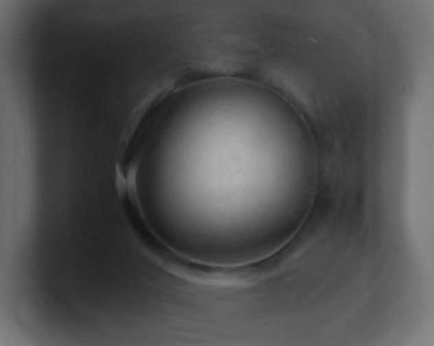 X0000101100020200806261522