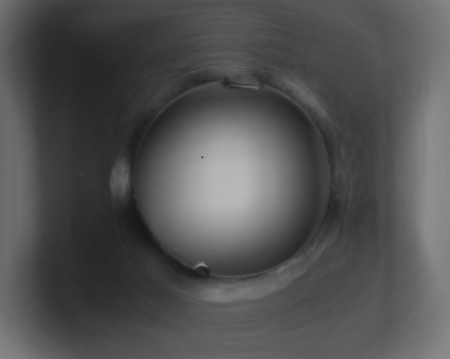 X0000101100021200806261522