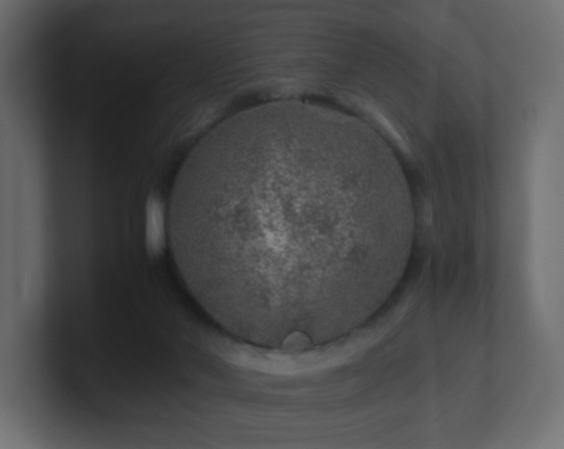 X0000101100022200806261522