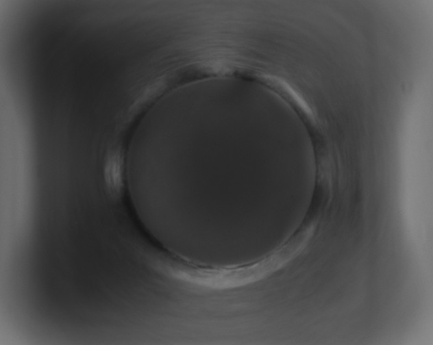 X0000101100023200806261522