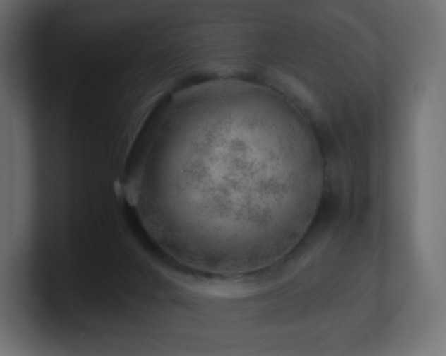 X0000101100024200806261522