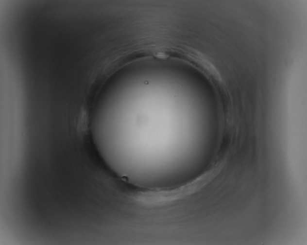X0000101100025200806261522