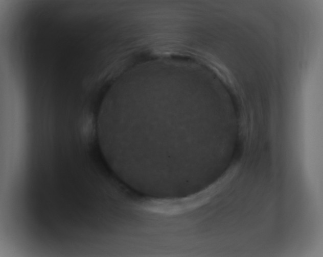 X0000101100029200806261522