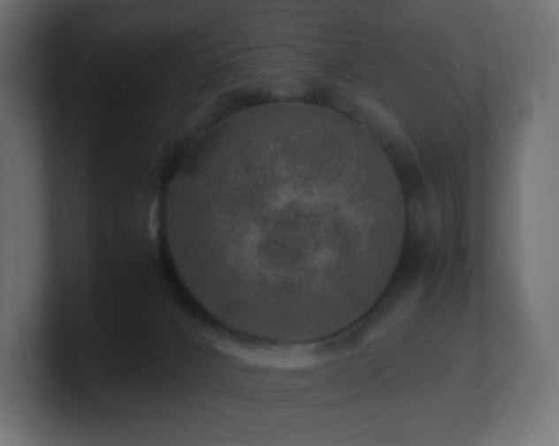 X0000101100032200806261522