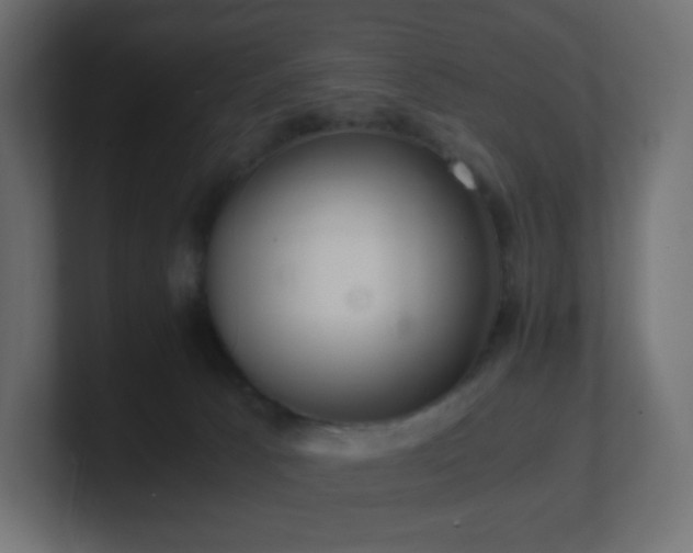 X0000101100033200806261522