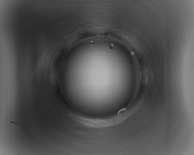 X0000101100034200806261522