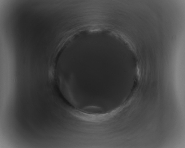 X0000101100035200806261522
