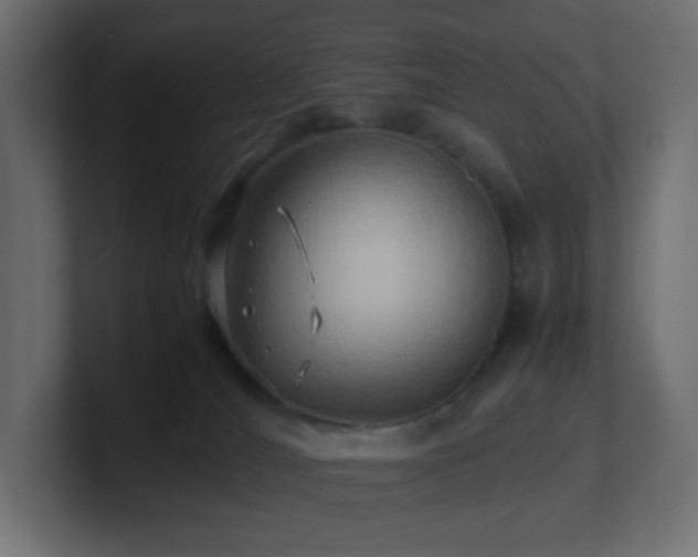X0000101100036200806261522