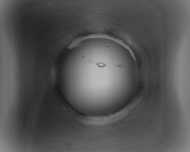 X0000101100037200806261522