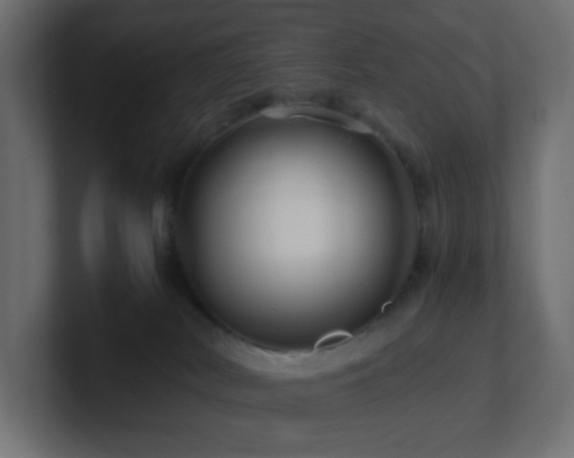 X0000101100038200806261522