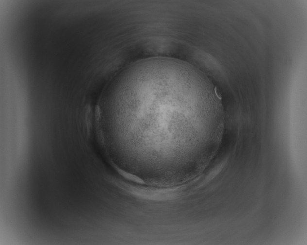 X0000101100040200806261522
