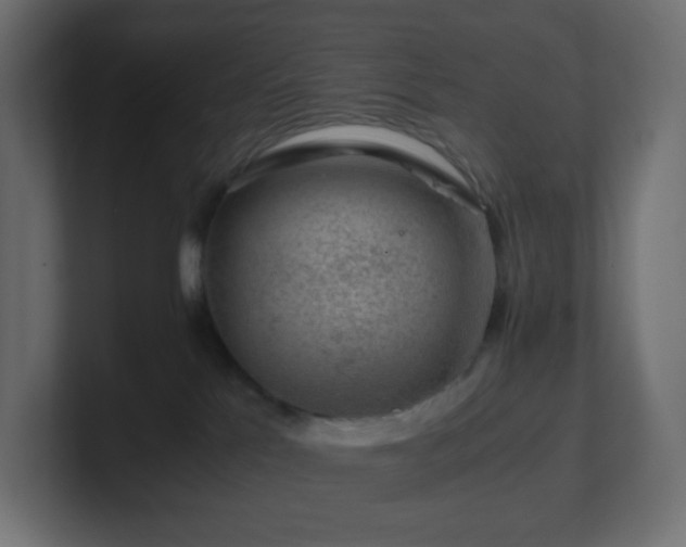 X0000101100041200806261522