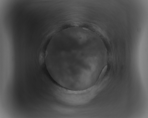 X0000101100043200806261522