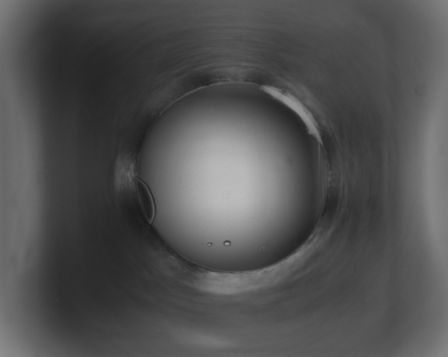 X0000101100045200806261522