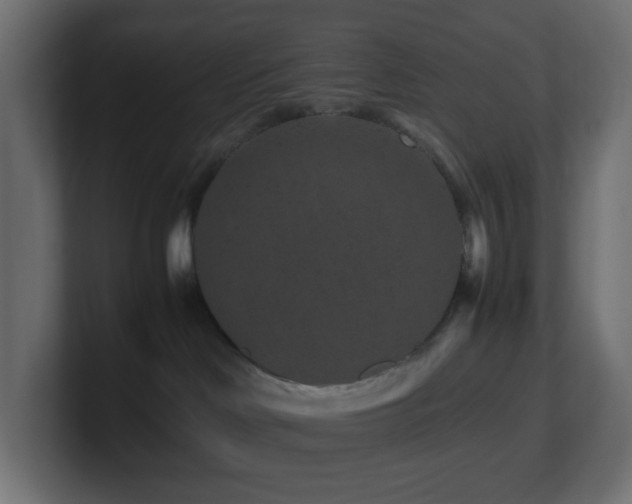 X0000101100046200806261522
