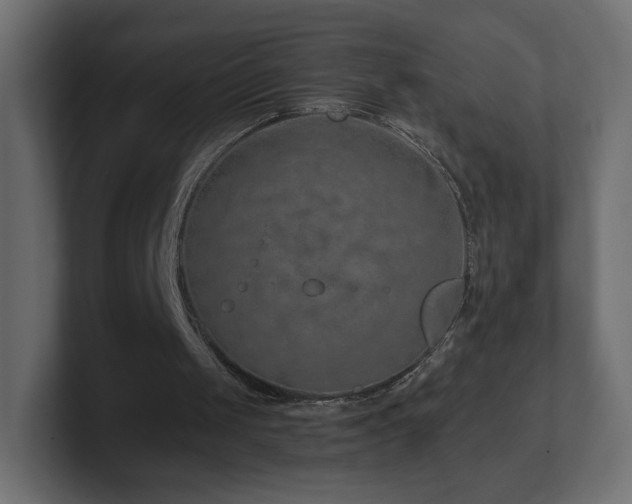 X0000101100049200806261521