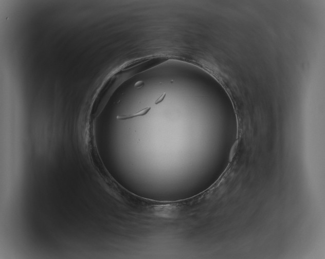 X0000101100050200806261521