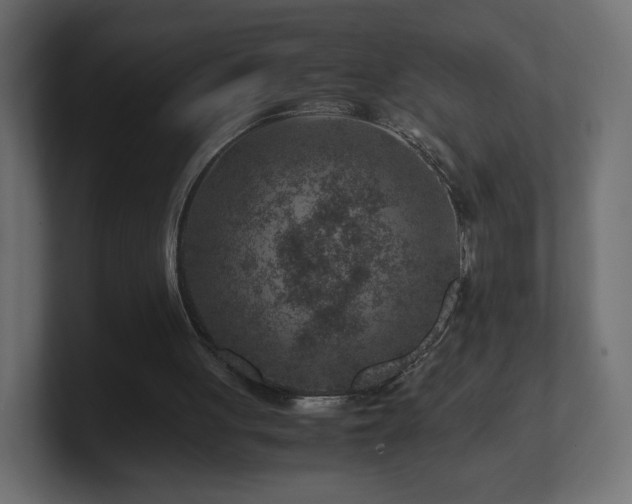 X0000101100051200806261521