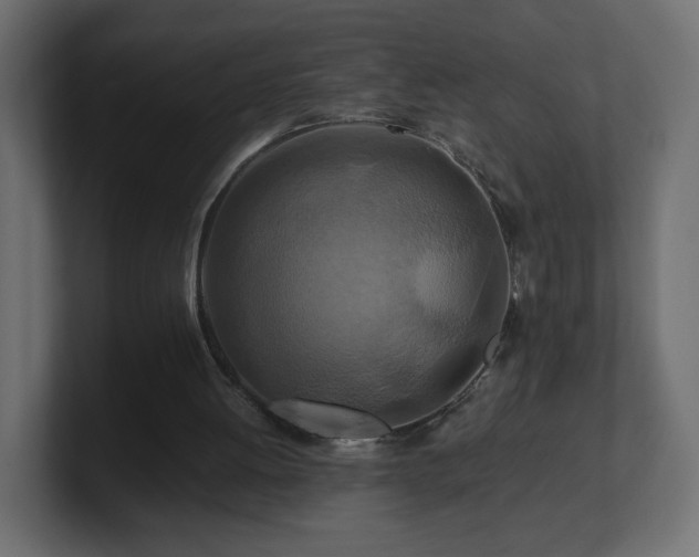 X0000101100052200806261521