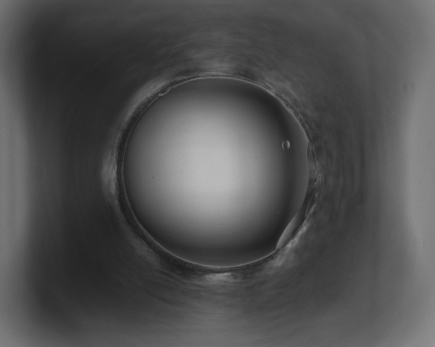 X0000101100054200806261521